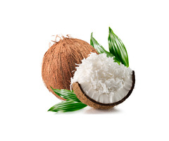 Fresh coconut Export 